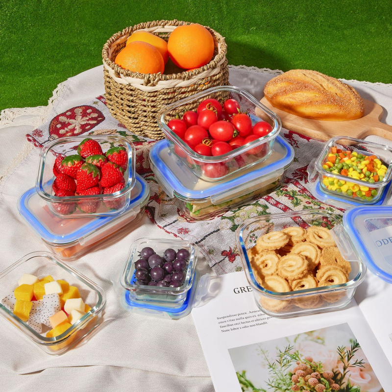 Boîte de conservation alimenta - Meal Prep Glass Containers Oven Safe avis et prix